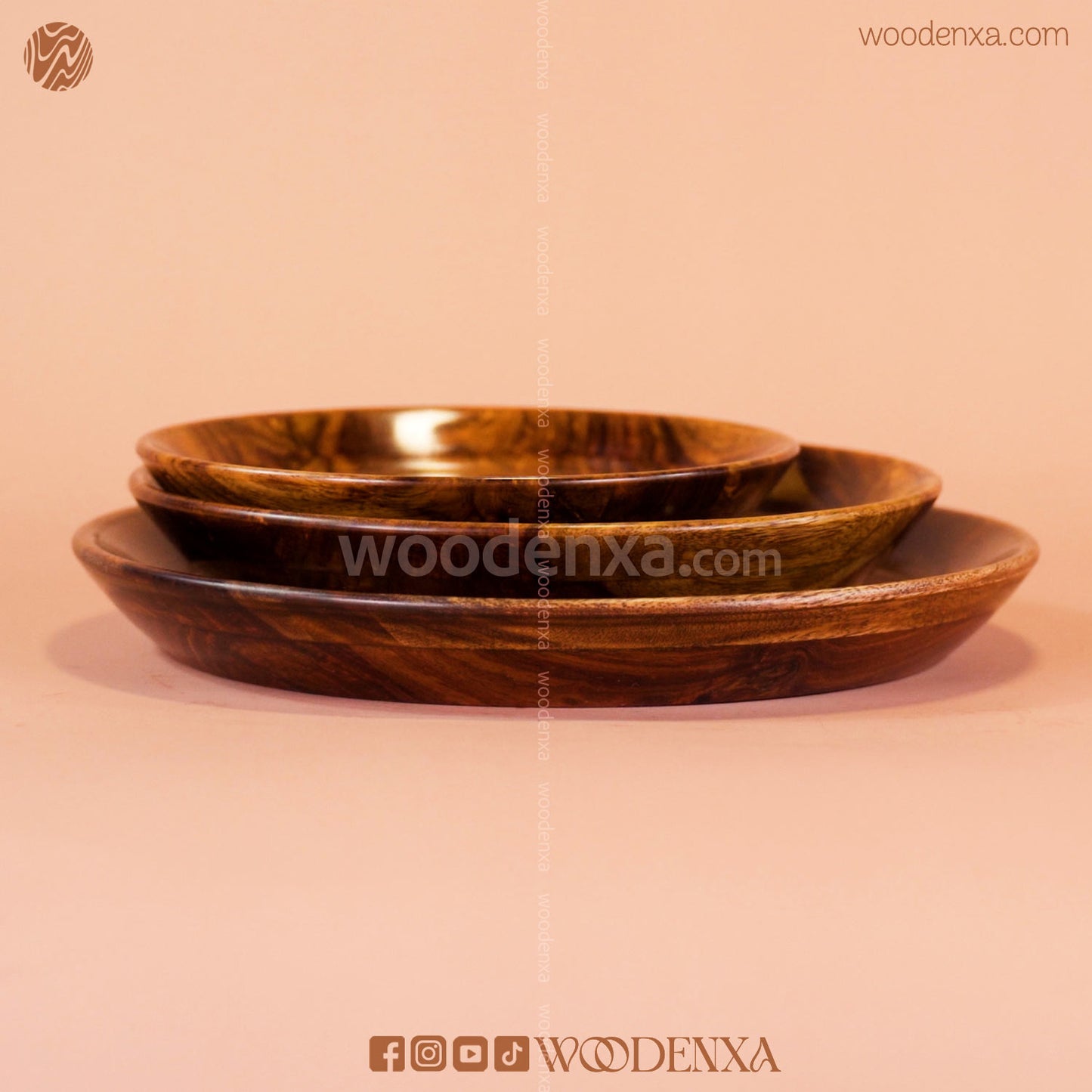 Wooden 3 Plate Set with Artistic Brass Work | Handmade by Woodenxa