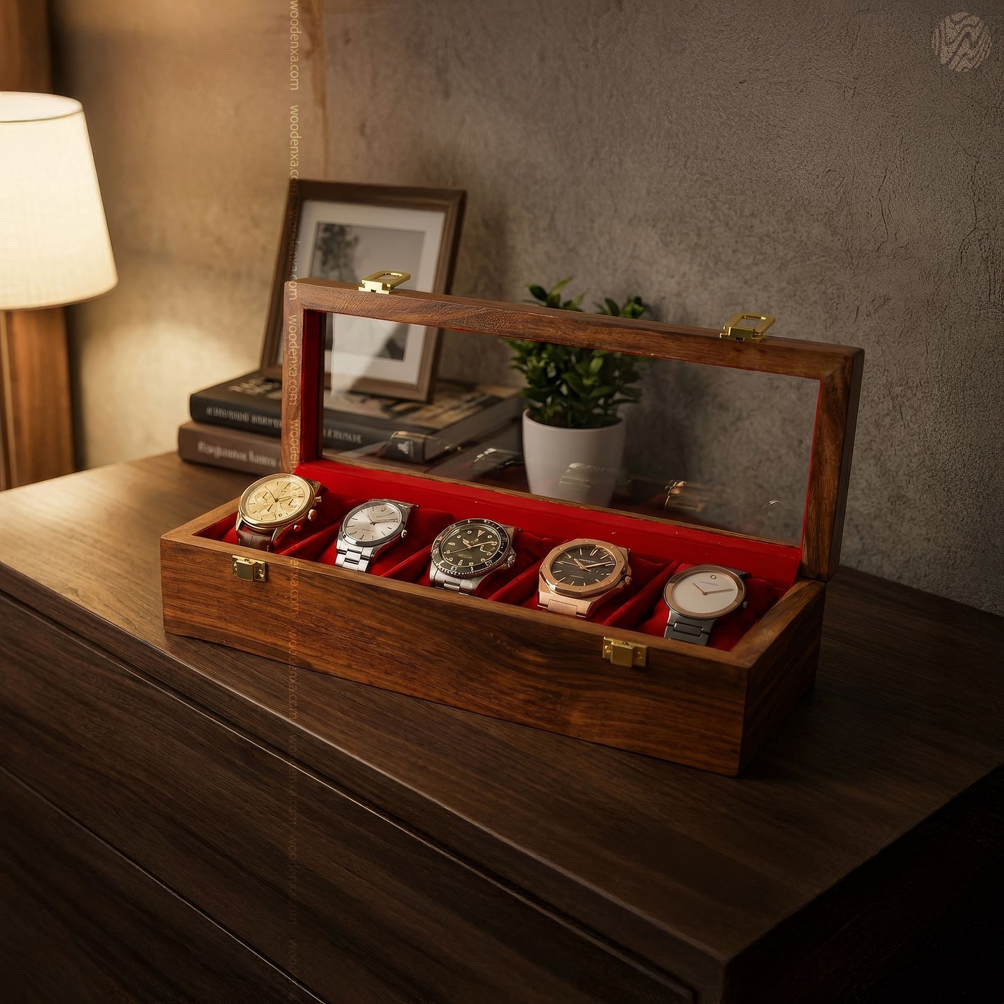 5 Watch Wooden Box with Acrylic Glass Top | Handmade by Woodenxa